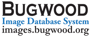 Bugwood Apps and Image Database